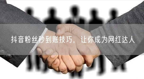 抖音粉丝秒到账技巧，让你成为网红达人