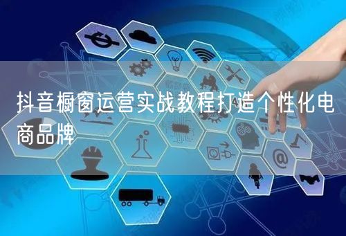 抖音橱窗运营实战教程打造个性化电商品牌