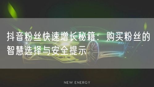 抖音粉丝快速增长秘籍：购买粉丝的智慧选择与安全提示