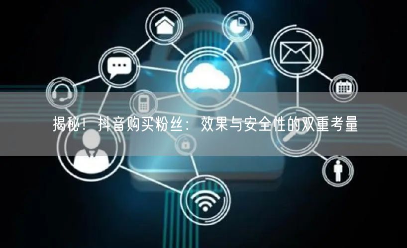 揭秘！抖音购买粉丝：效果与安全性的双重考量
