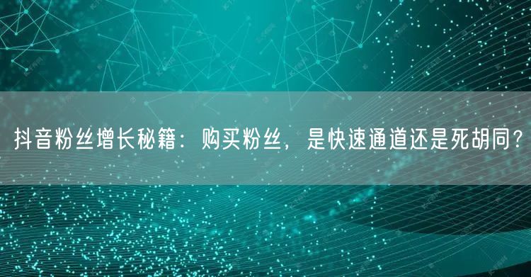 抖音粉丝增长秘籍：购买粉丝，是快速通道还是死胡同？