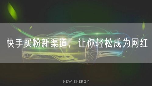 快手买粉新渠道,让你轻松成为网红